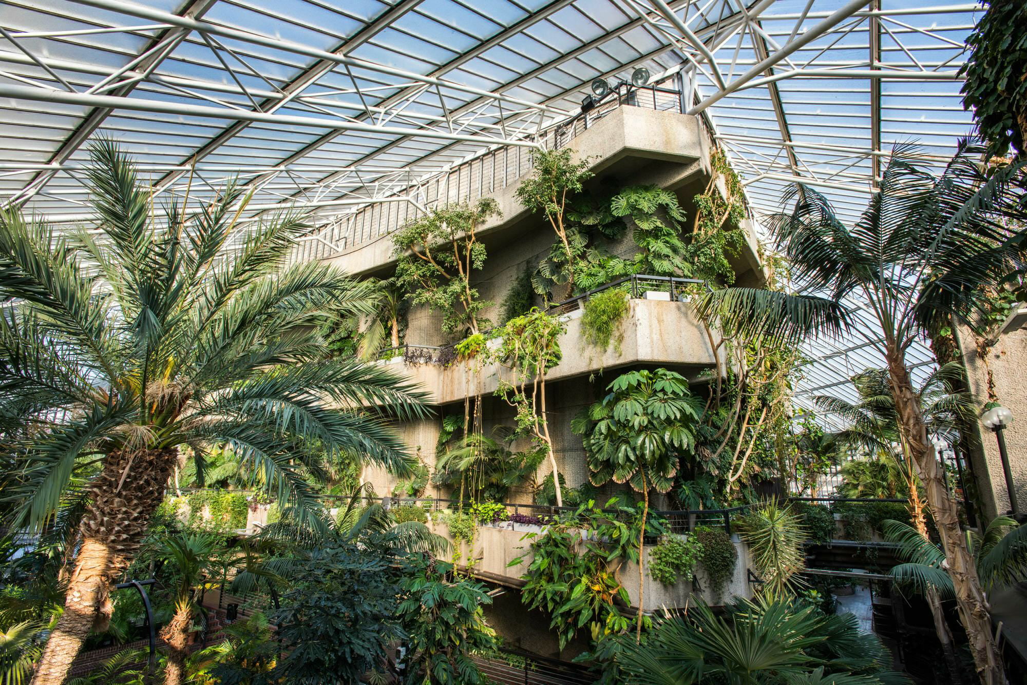 Barbican Conservatory Max Colson 